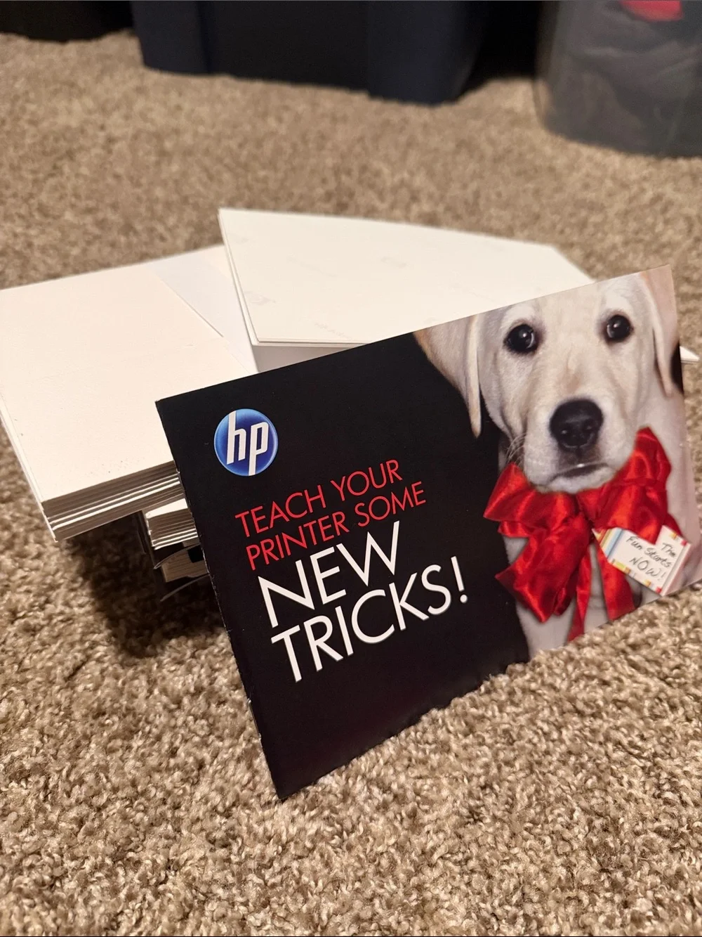 60 5”x7” photo paper cards w/envelopes from HP